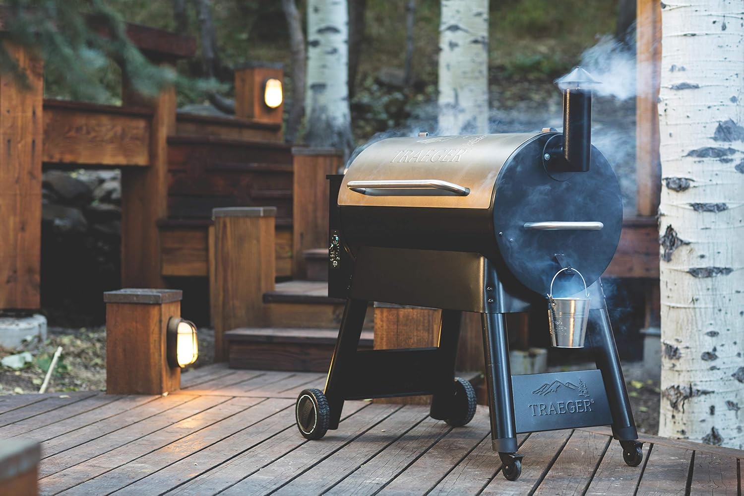 🔥 Traeger 34 Pro Wood Pellet Grill: Built for Guys Who Take Grilling Seriously